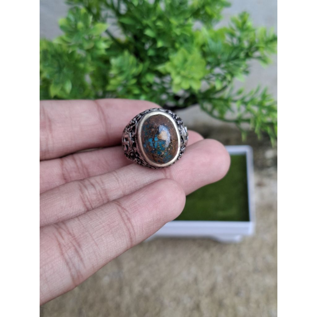 PIRUS PERSIA MUMBUL WARNA BIRU ROYAL SERAT MERAH