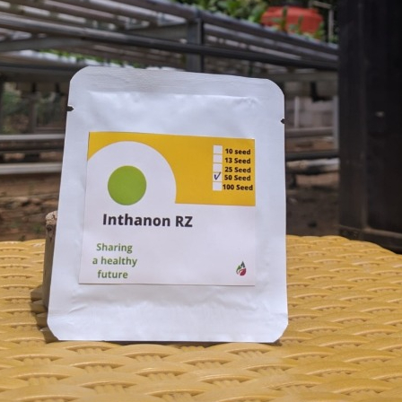 Inthanon 50 seed Benih melon Rijk zwaan