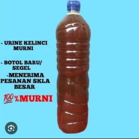 POC Urin Kelinci Murni