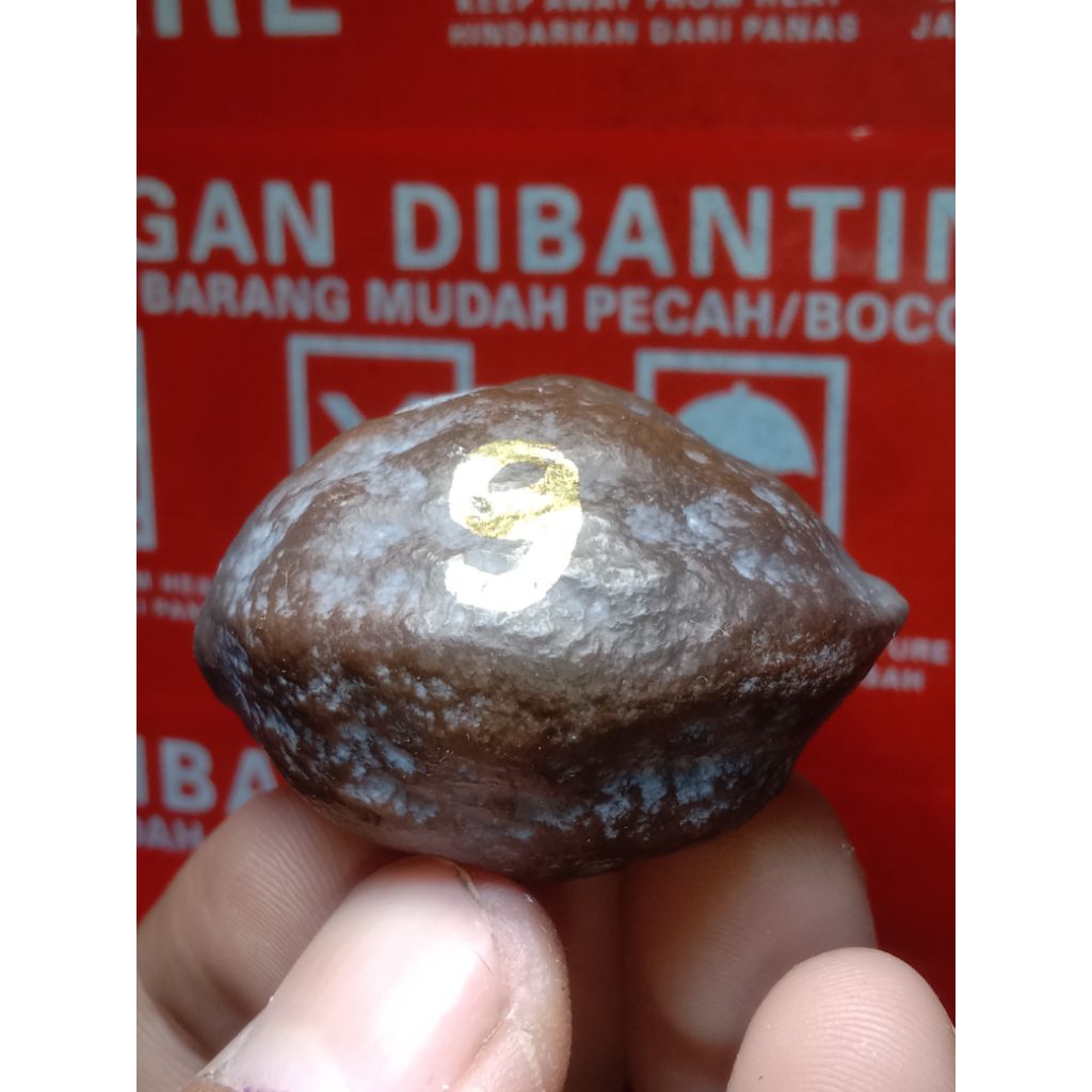 muncang JAYANTI ENTOG X MILE SUPER kode 9