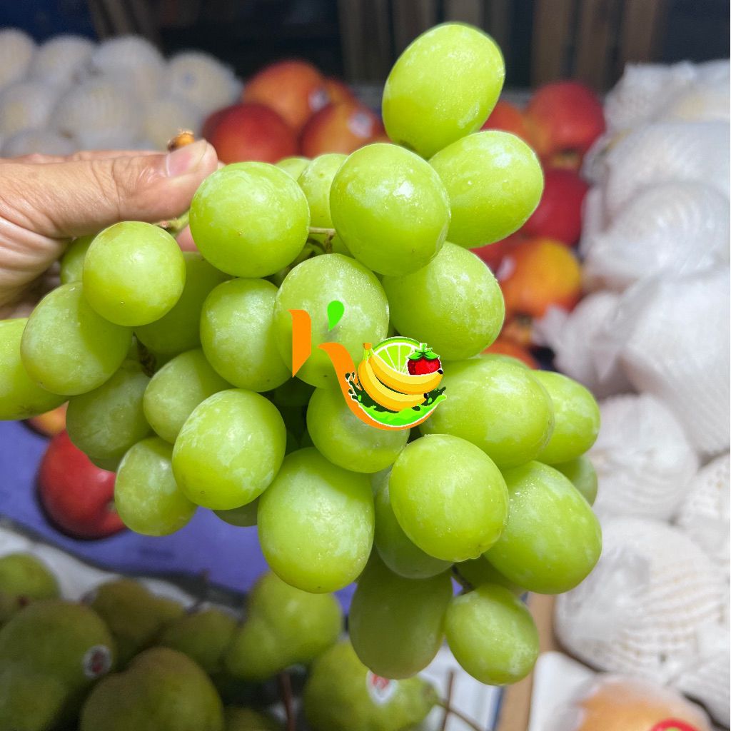 Anggur Hijau Autumn Crispy
