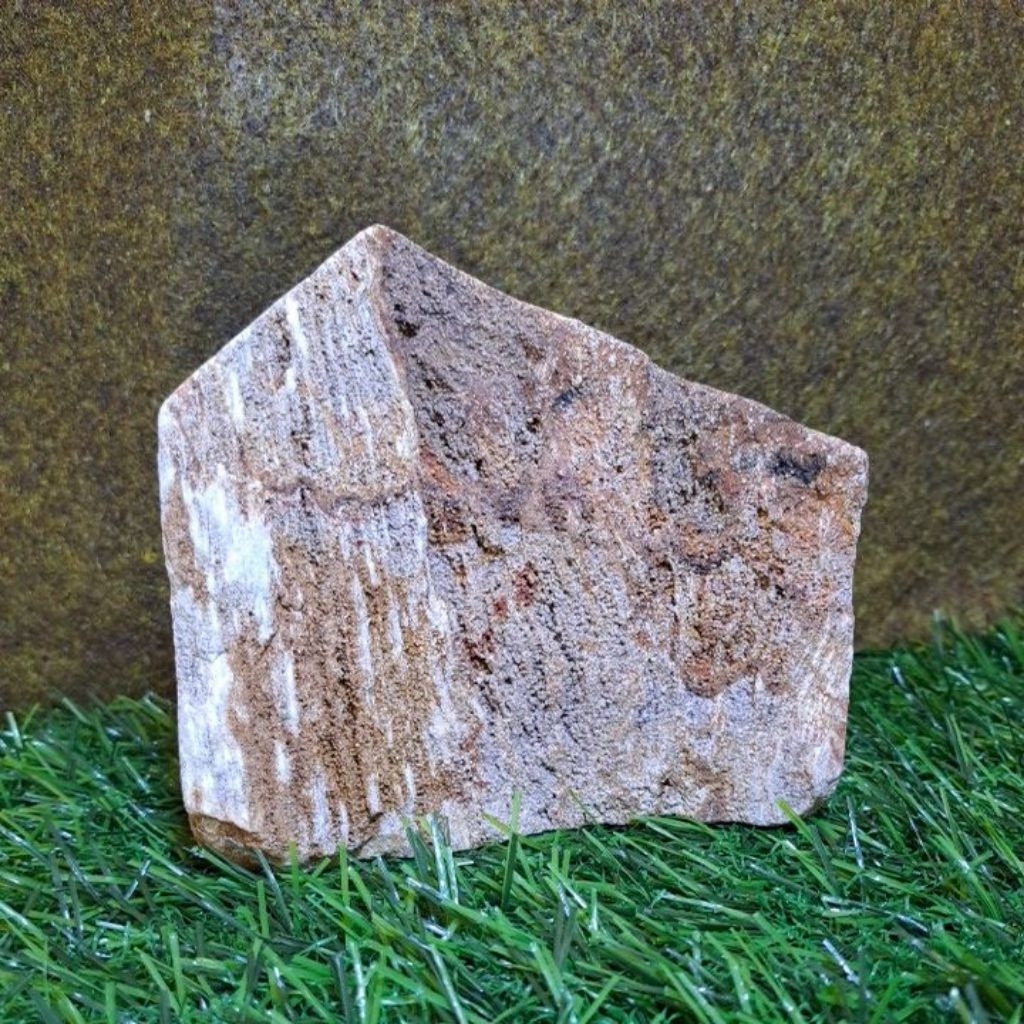 Batu Fosil Kayu