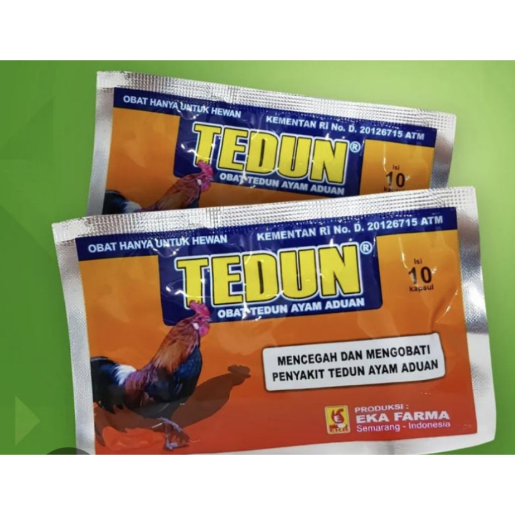 Tedun obat ayam unggas pincang lumpuh
