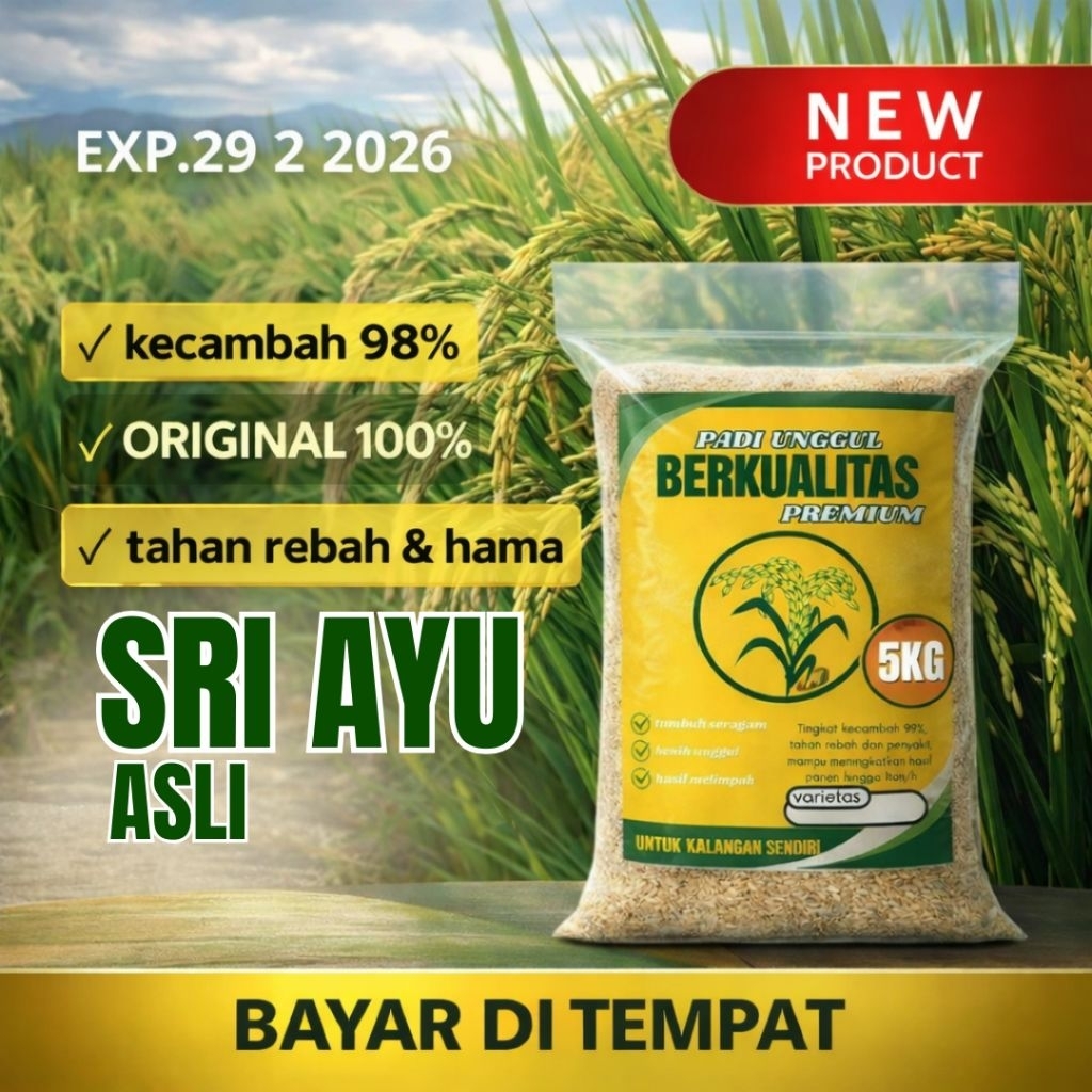 BENIH PADI UNGGUL SRI AYU 01 ORIGINAL 5KG