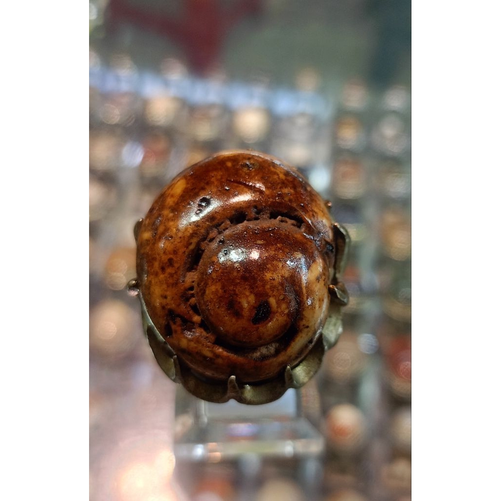 Cincin Fosil keong/Kol buntet(Natural)