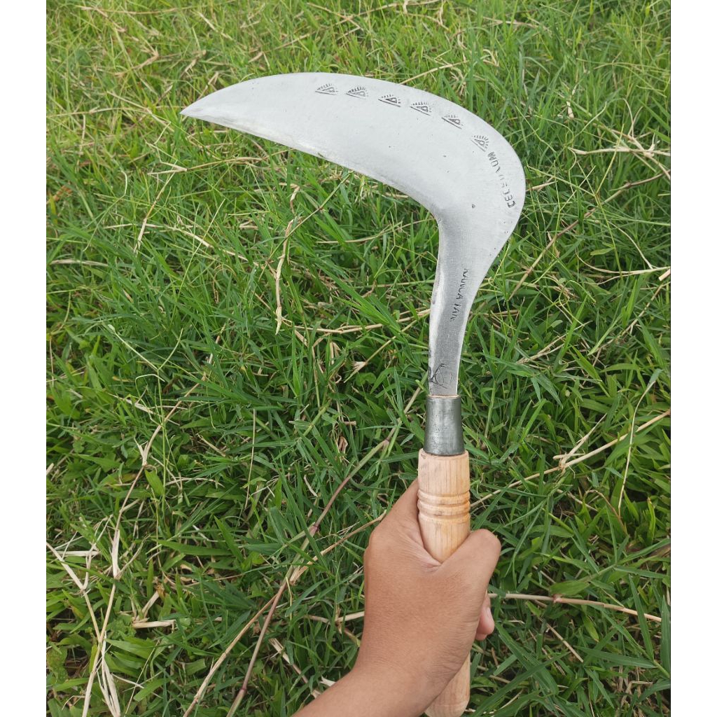 Arit rumput padi model cengkrong lebar ringan  bahan baja isen asli wonosobo