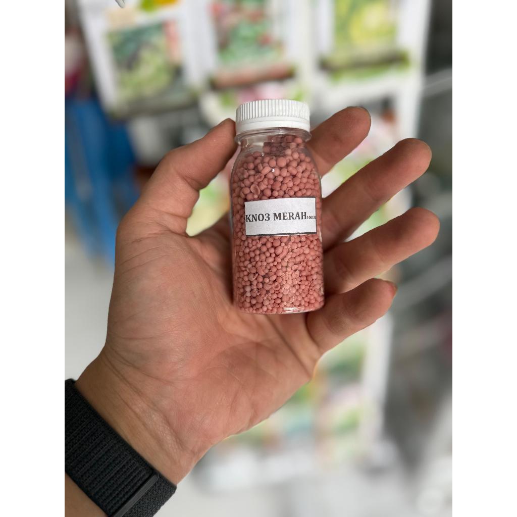 KNO3 MERAH
