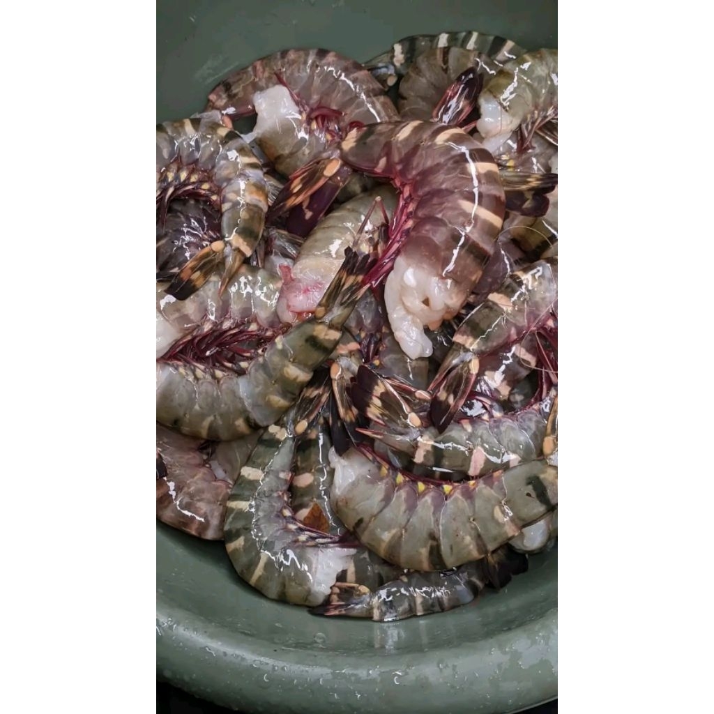 udang kupas Udang Tiger daging kupas Udang pancet kupas bersih udang kupas segar 1kg