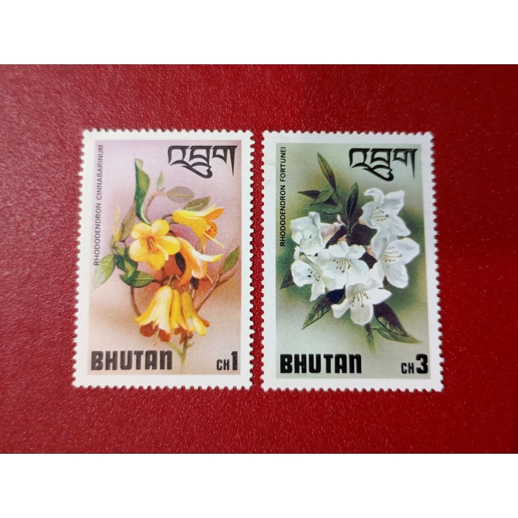 PRANGKO BHUTAN BUNGA