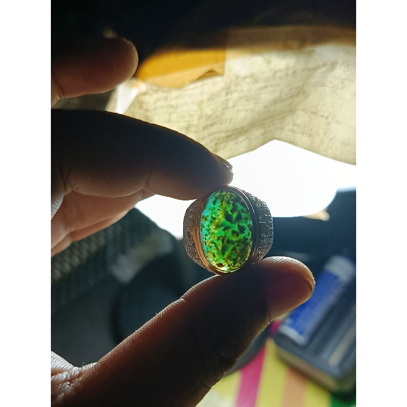Bacan doko totol coklat natural