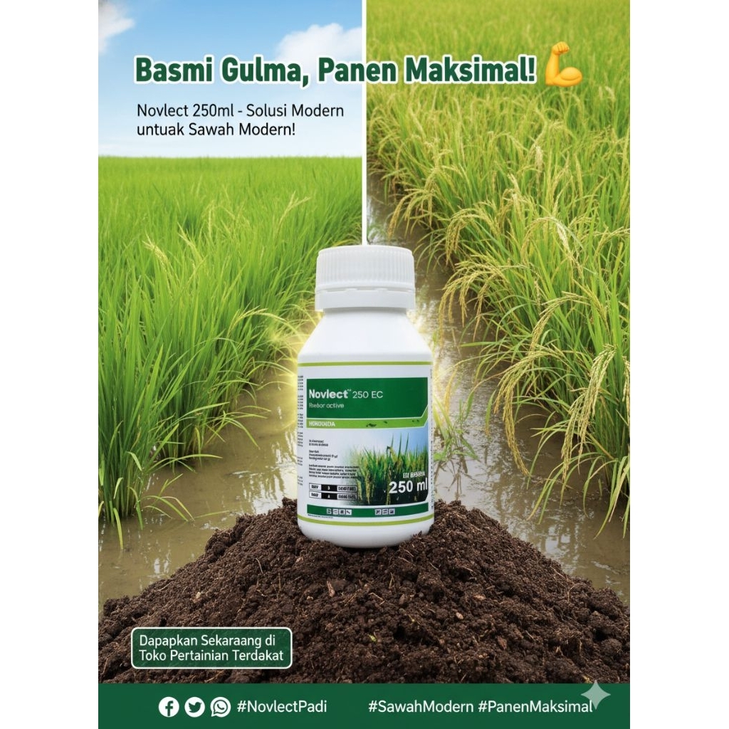 HERBISIDA PADI | NOVLECT 250ml