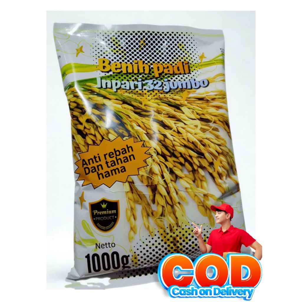 BENIH PADI INPARI 32 JUMBO UNGGUL KUALITAS 1KG