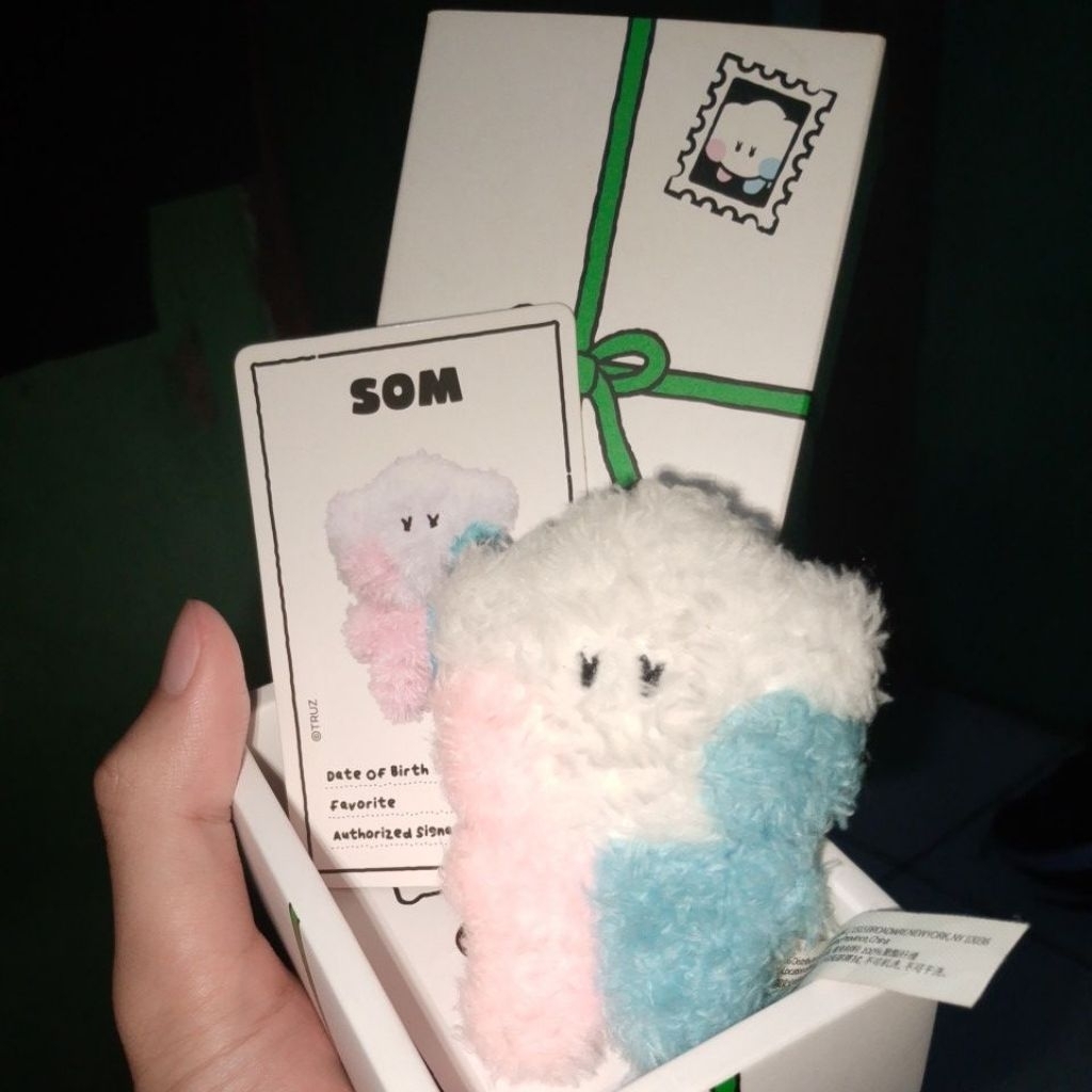 TRUZ SOM OFFICIAL MINI MININI BOX PUTIH