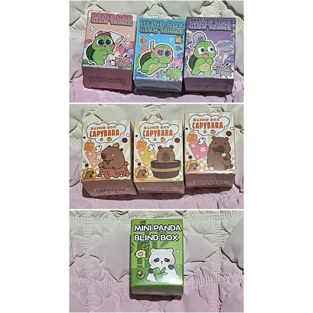 (Selected) MR DIY blind box capybara panda glow turtle kura-kura