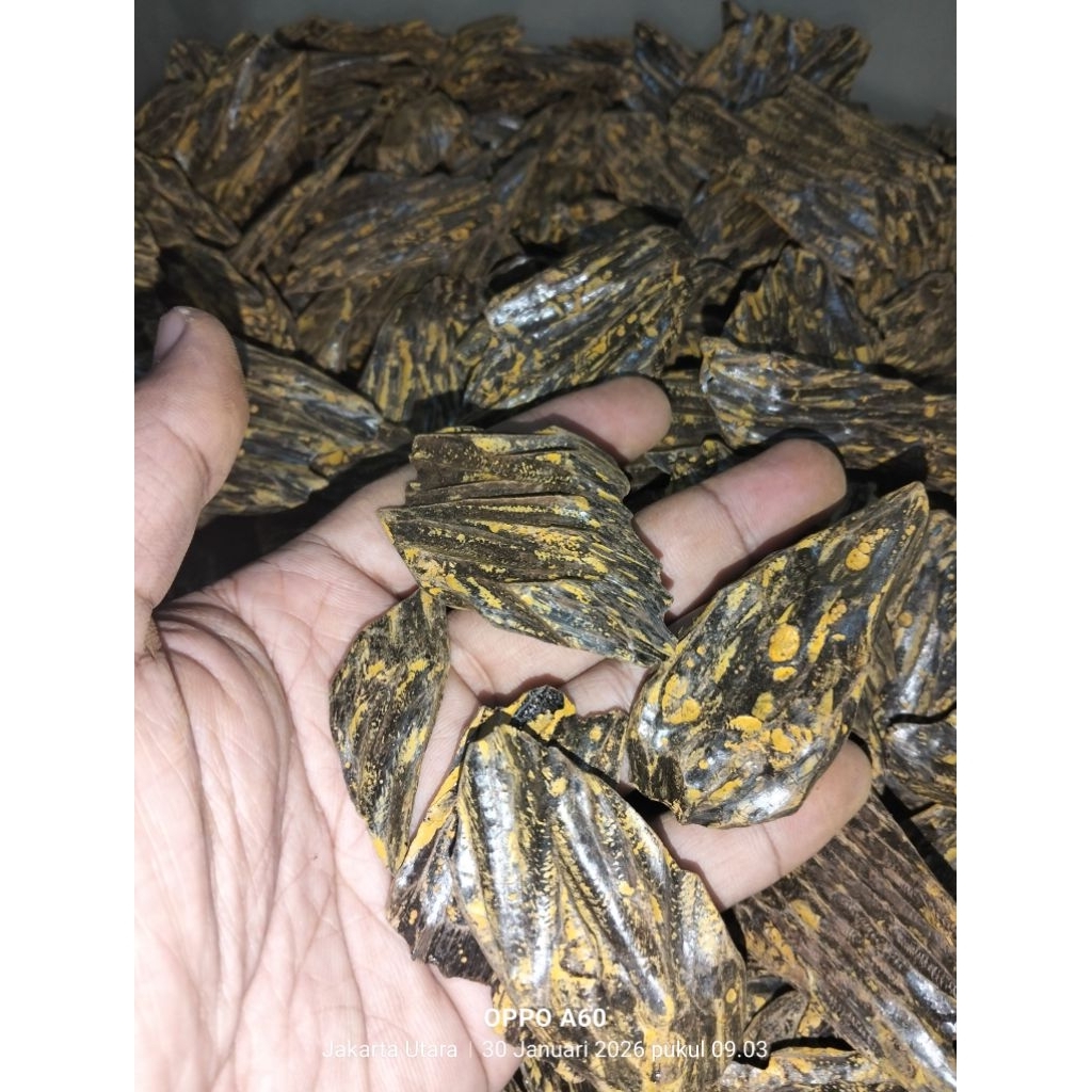 kayu gaharu kalimantan getah merah sanai 100gram