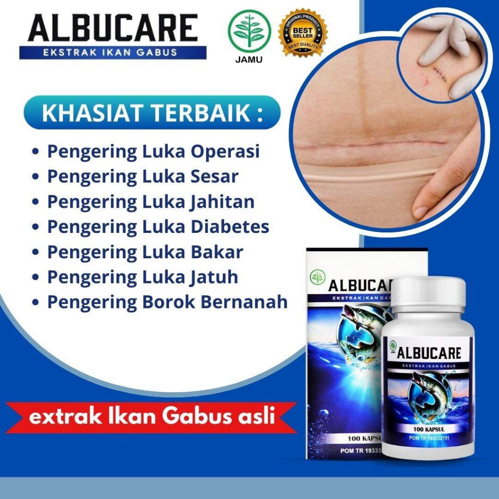 Obat Tradisional Ekstrak Ikan Gabus / Kutuk / Bogo Asli - Albucare 100 Kapsul