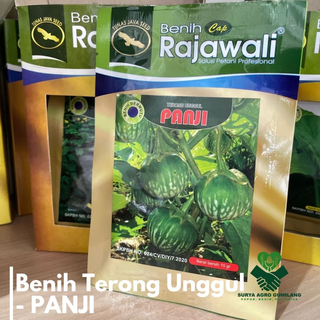Benih Terong lalap PANJI cap Rajawali | Terong Panji | Bibit Terong