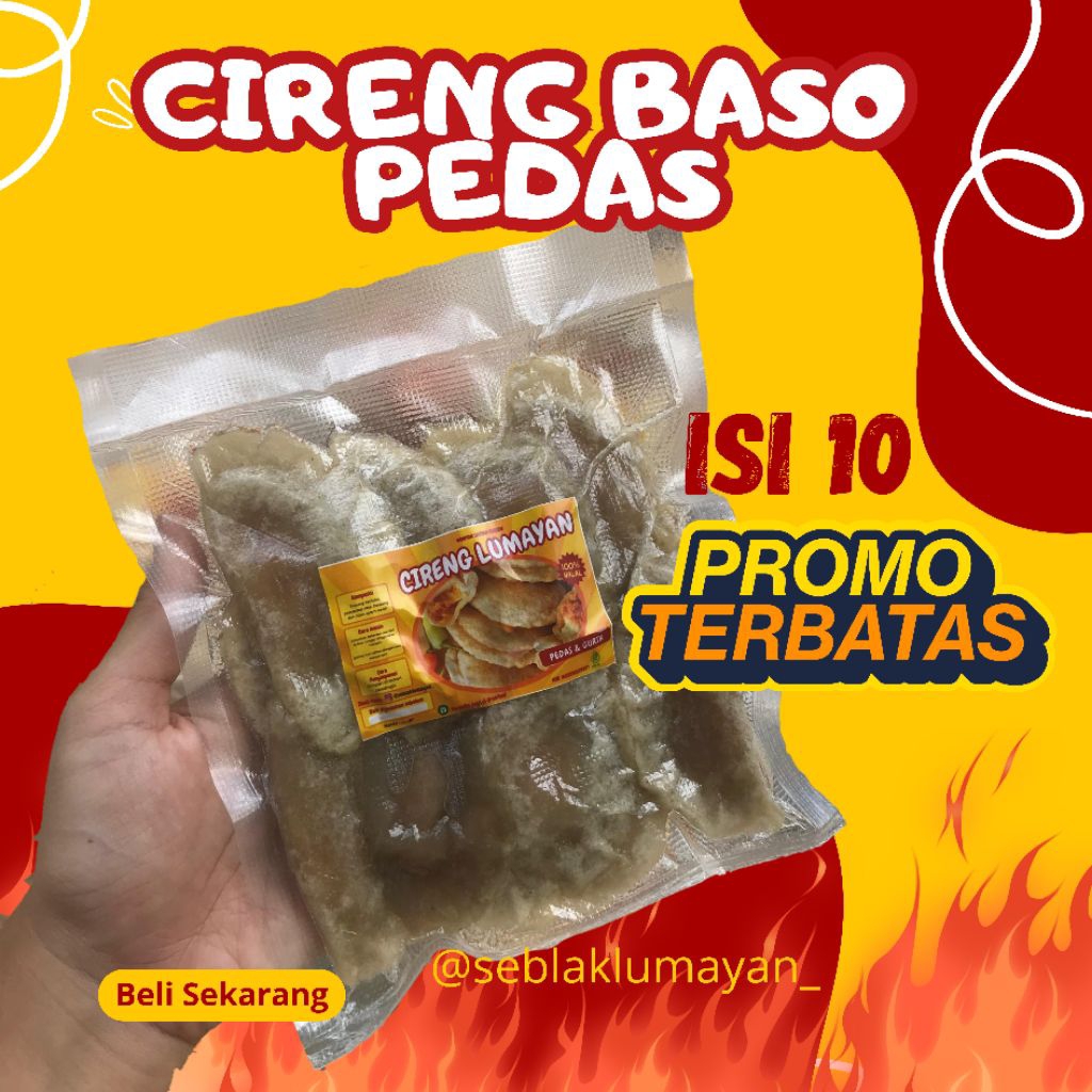 cireng isi BASO PEDAS / isi 10 pcs