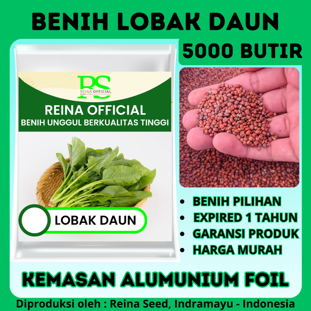 5000 biji benih lobak daun/lobak sayur unggul