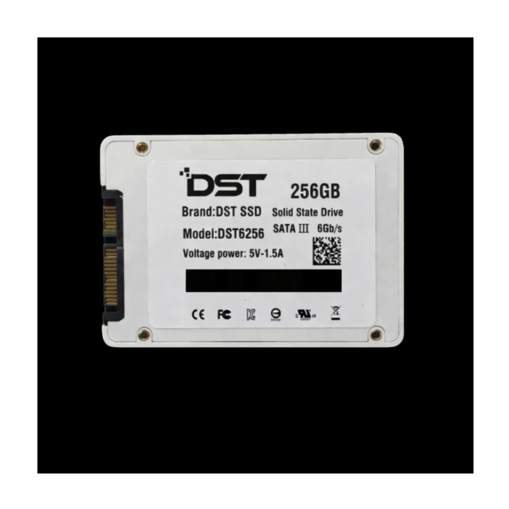 DST SSD 256 GB
