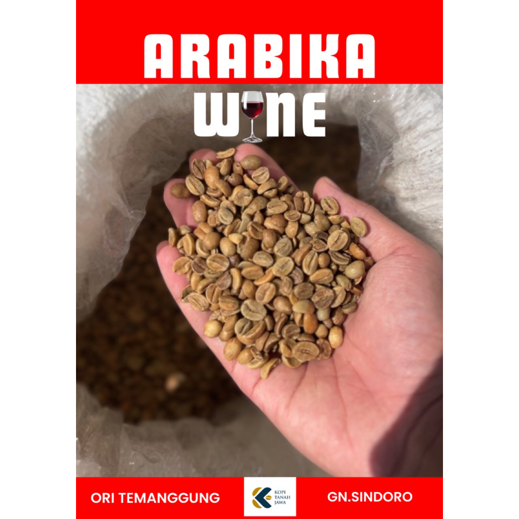 [Biji Kopi] Arabika Wine Temanggung || Gn Sindoro