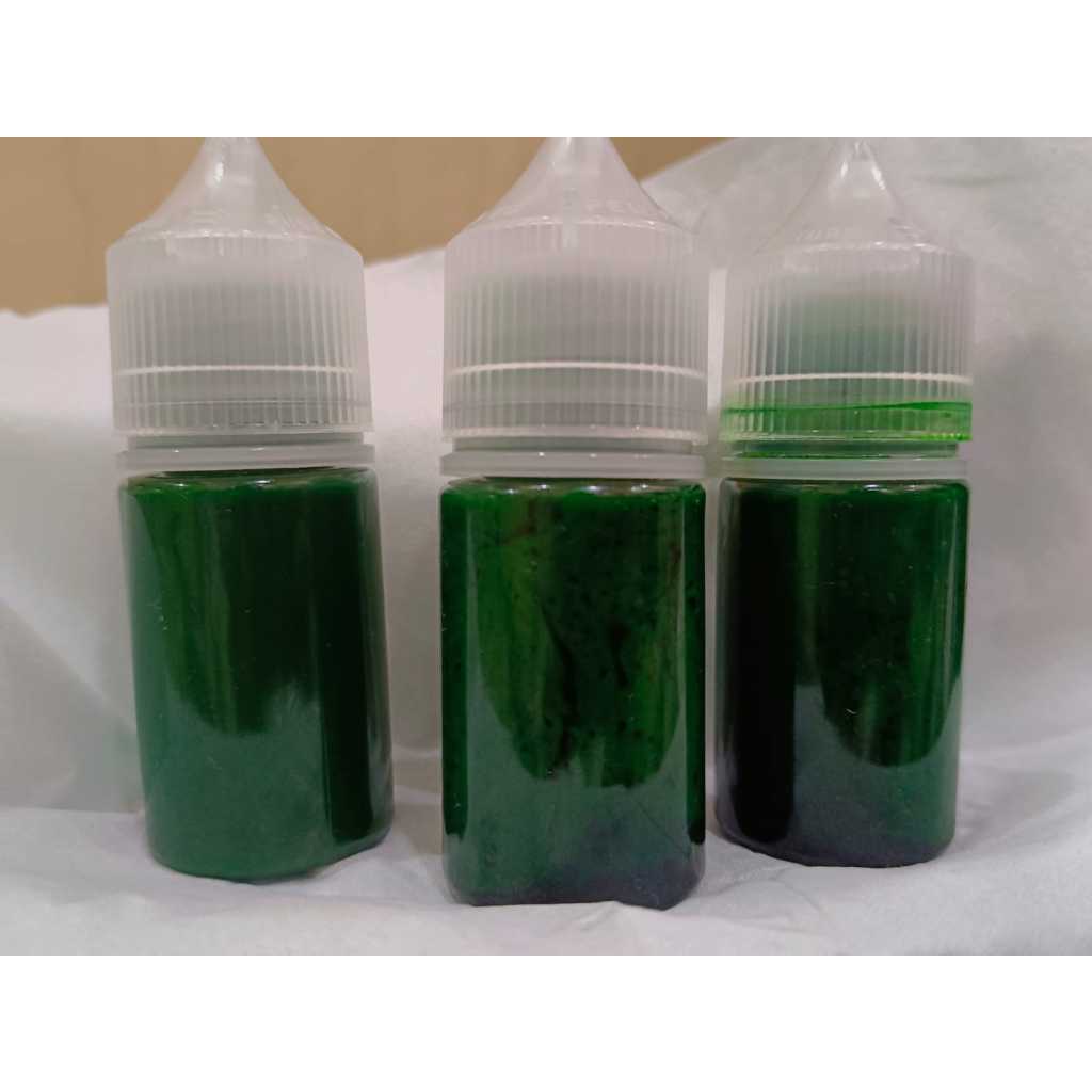 Essen ikan lele raja empang essen ikan lele khusu induk galatama essen galatama lele paling gacor es