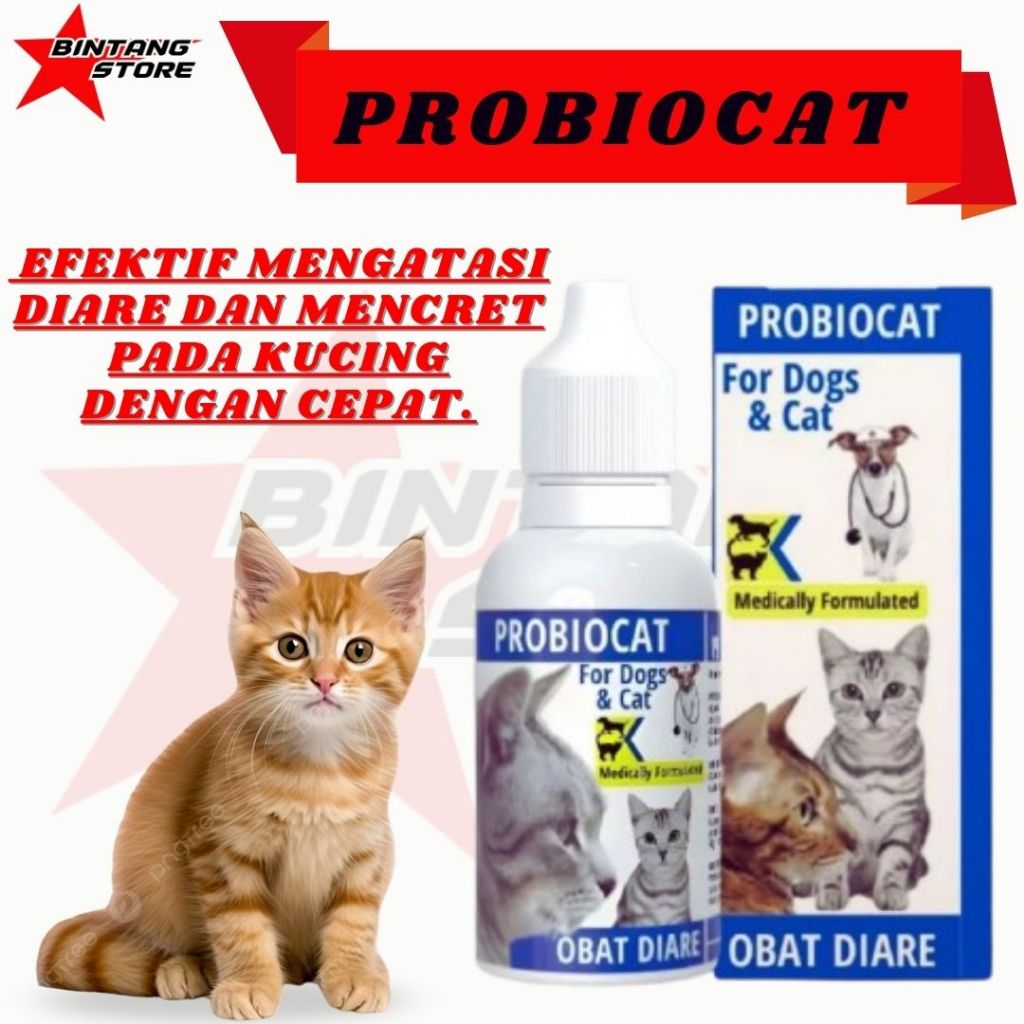 Obat Diare Kucing Obat Berak Darah Kucing PROBIOCAT BINTANGSTORE