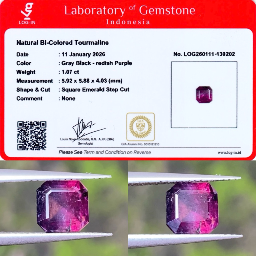1,07 cts Natural Unique Bi-Color Tourmaline origin Est. Afghanistan No Treatment Memo LOGIN