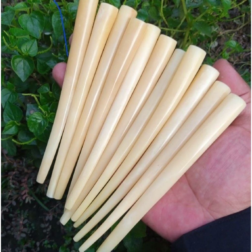 once pipa tulang sapi asli panjang 13-14cm kualitas presisi glowing