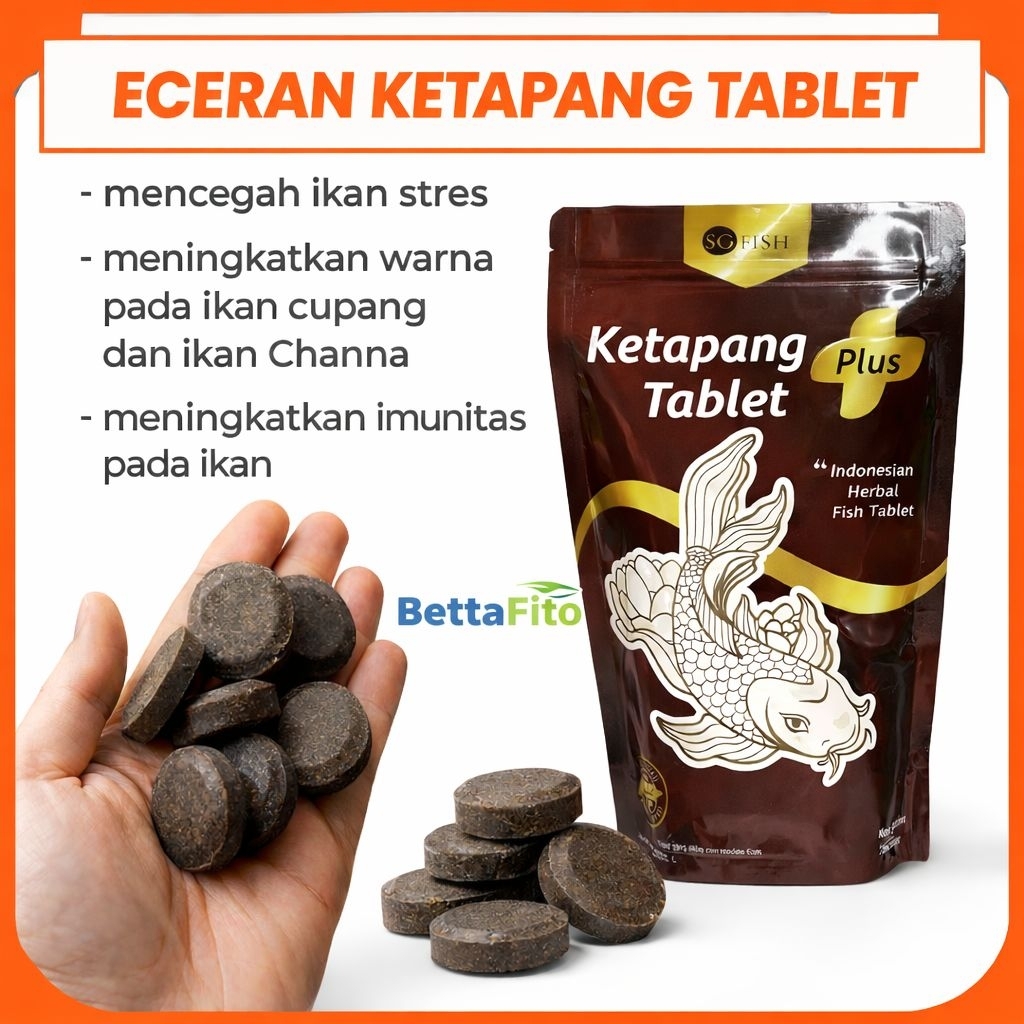 ECERAN Ketapang tablet SG fish