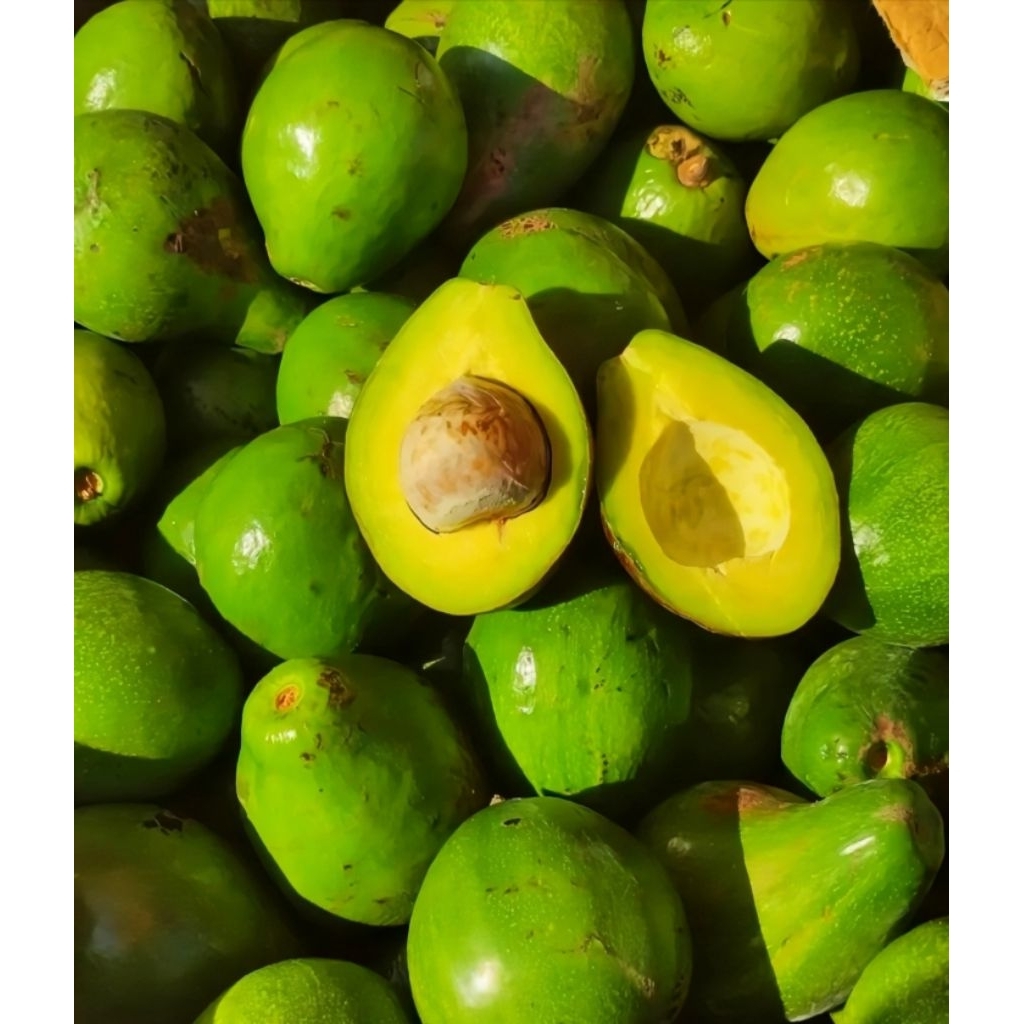 Alpukat Mentega 1kg - Segar, Bergaransi JAWA - BALI, Isi 5-7