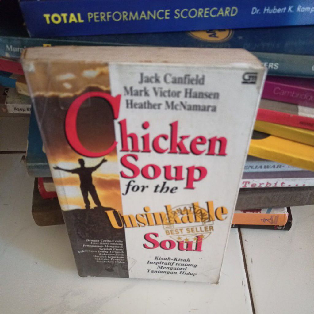 chicken soup for unsikable soul