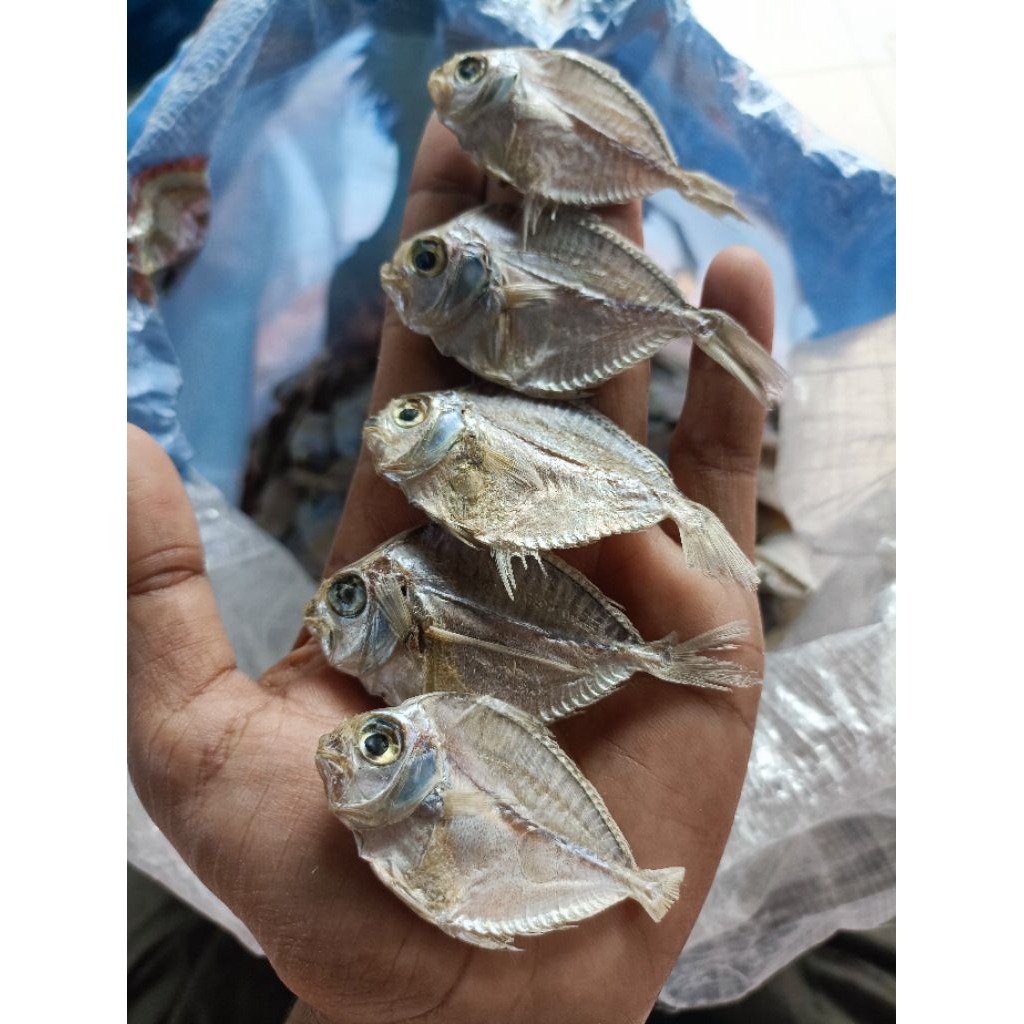 Ikan asin pirik tawar/ikan asin dokdok tawar/ikan asin pethek tawar termurah