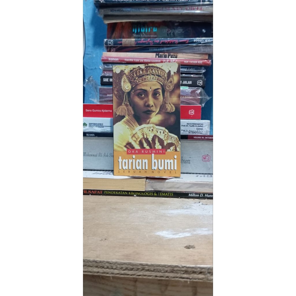 Tarian Bumi (novel)