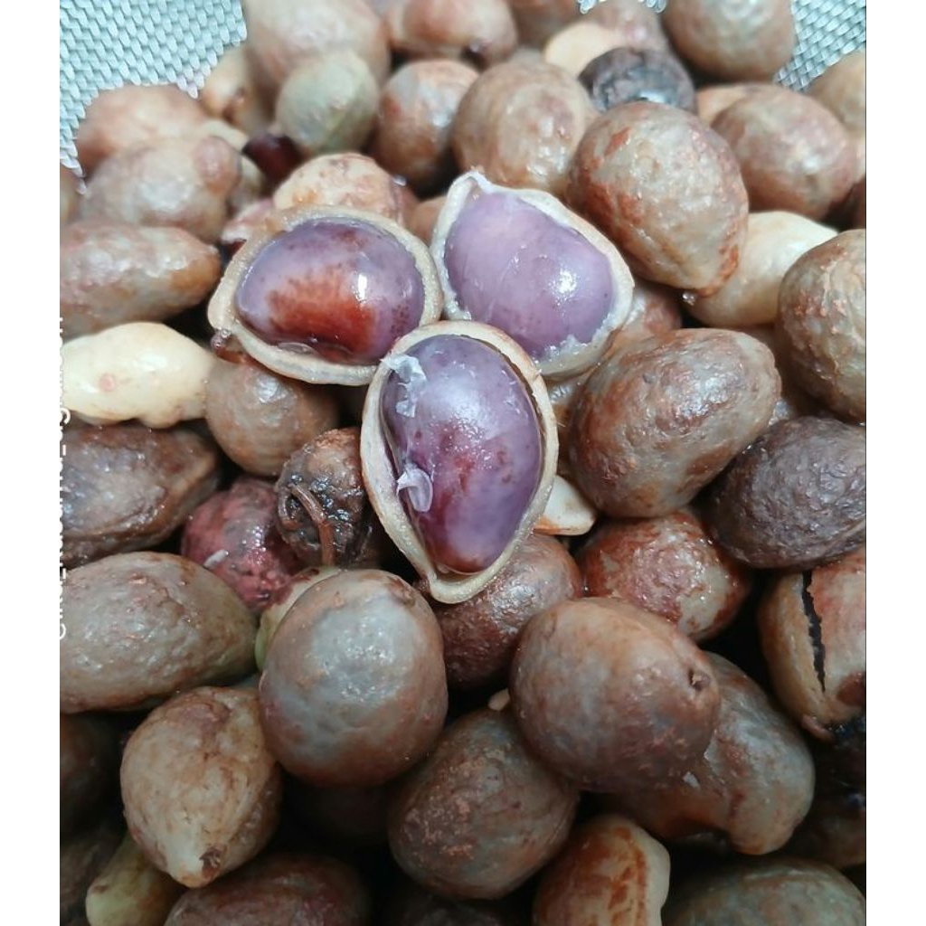 Kacang Polong Bogor Mentah Per 1Kg