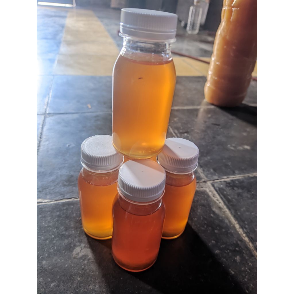 Minyak biawak original 60ml