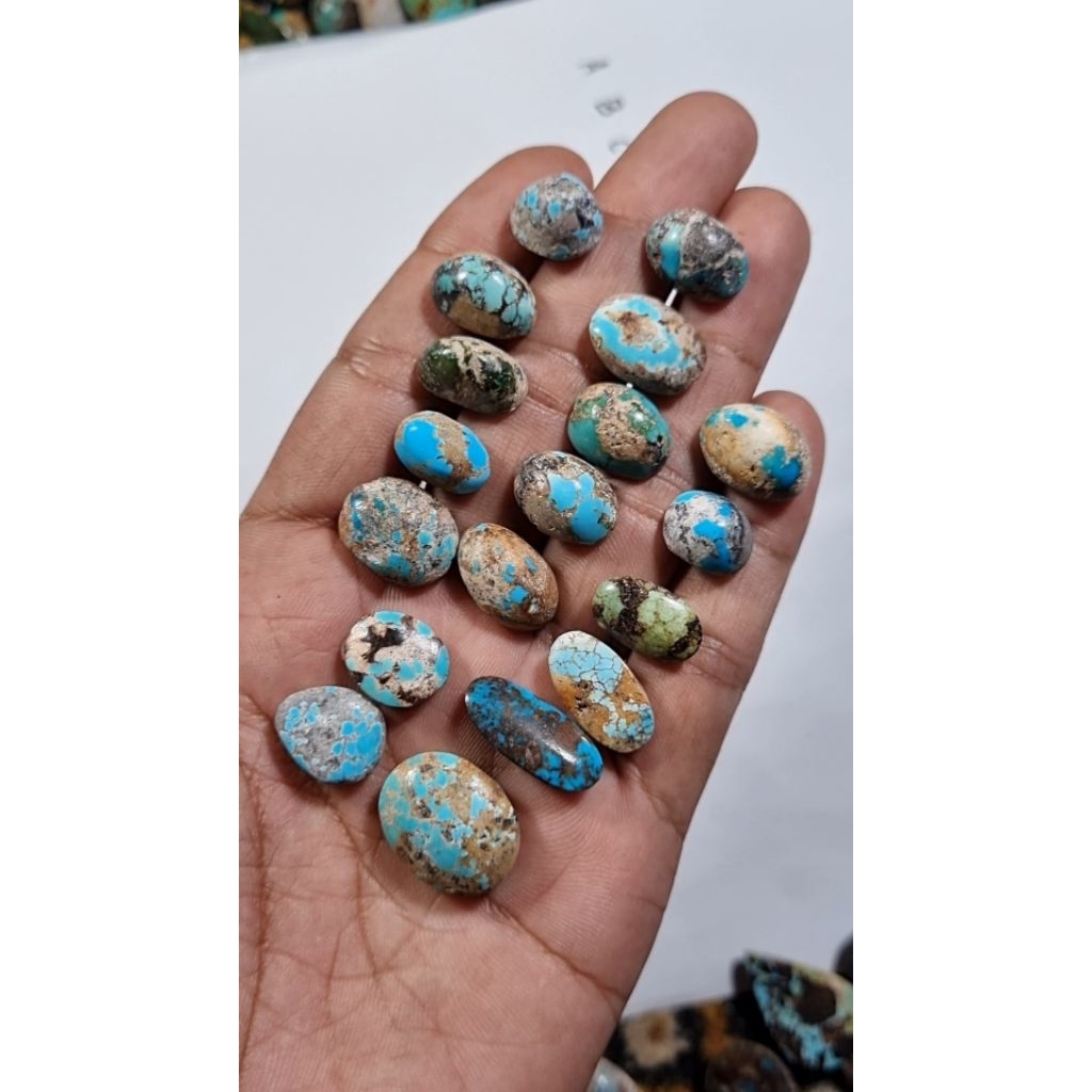 natural pirus persia borongan grade B