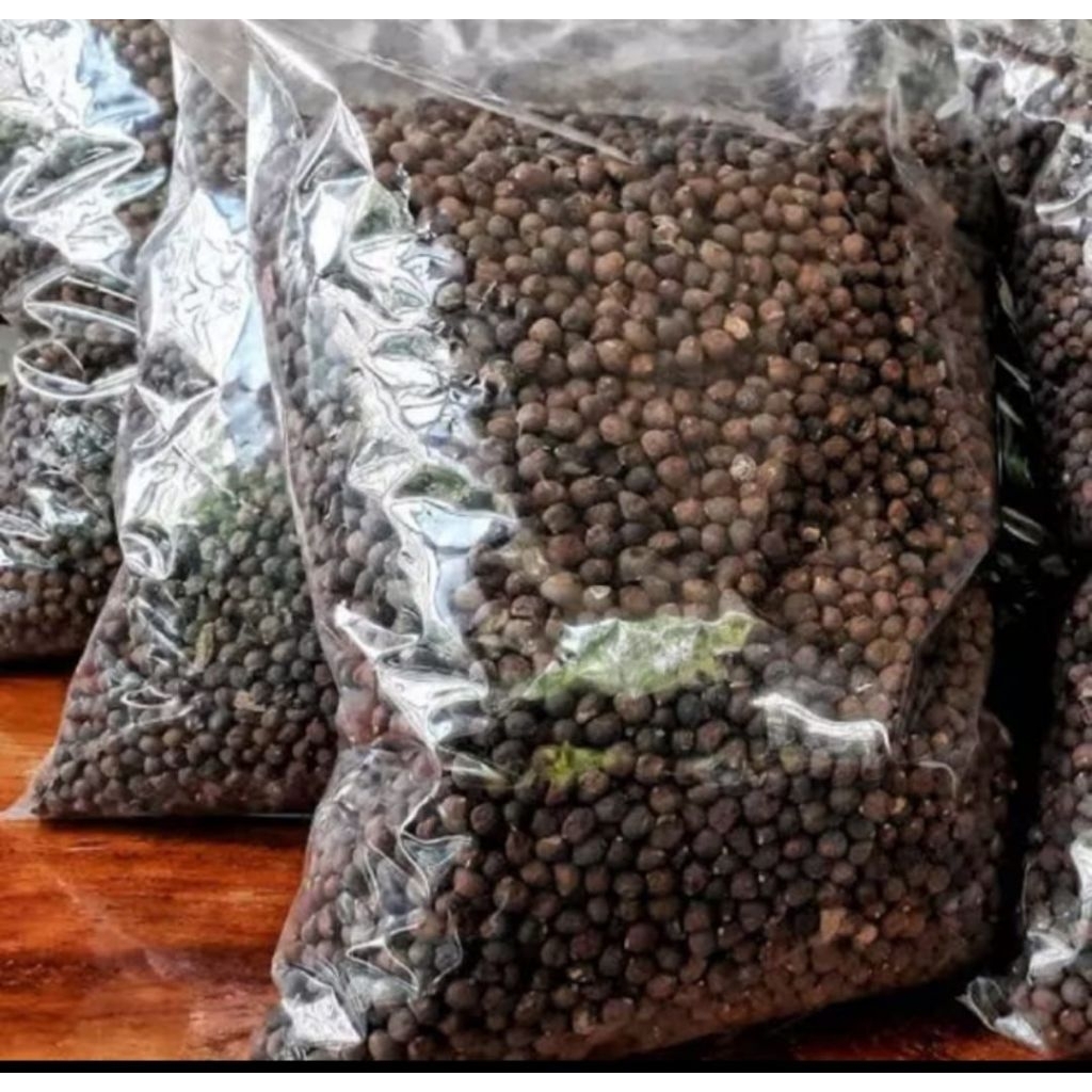 Biji benih pohon randu/kapas, kapuk
