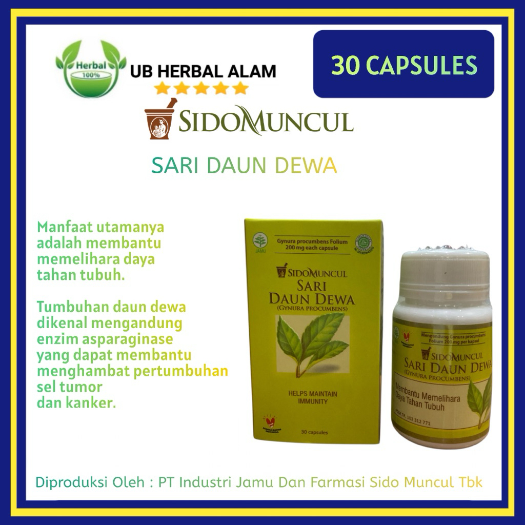 Sidomuncul Sari Daun Dewa 30 Capsules Memelihara Daya Tahan Tubuh