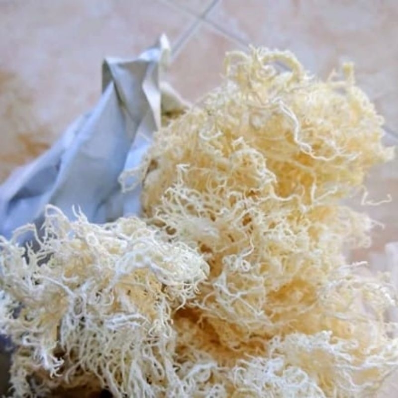 Rumput Laut Kering Putihan Original Kemasan 1Kg