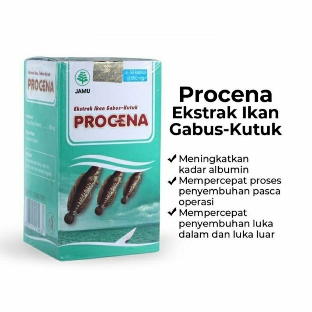 PROCENA Ikan Gabus- Kutuk Kapsul Ekstrak Ikan Gabus-Kutuk