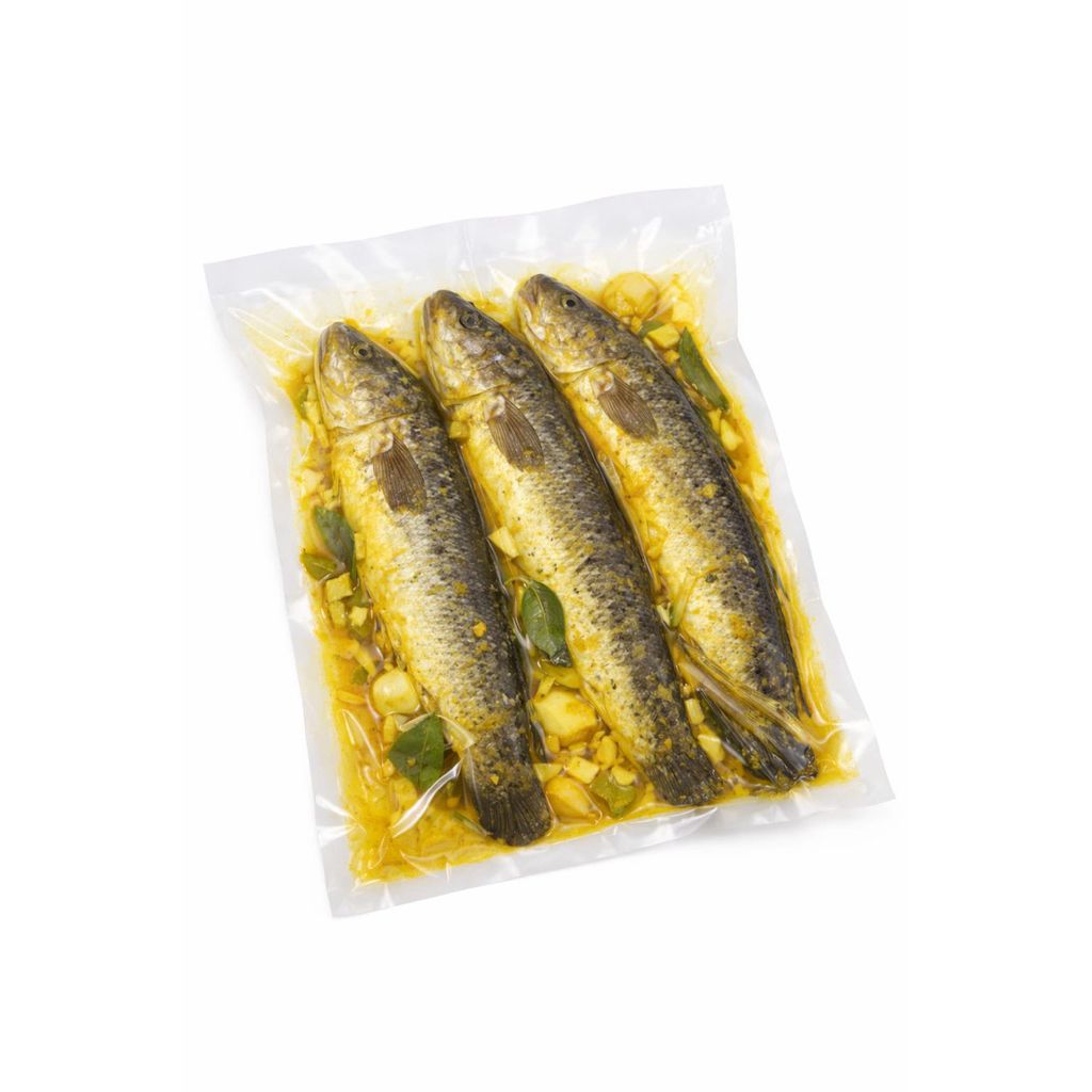 Ikan Gabus Konsumsi Pilihan Bumbu Kuning dan Origal