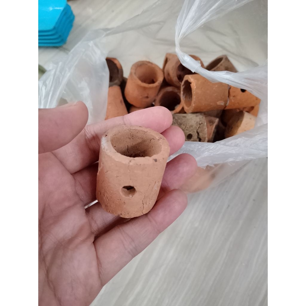 Pot tanaman batu lava rock hiasan aquarium aquascape preloved