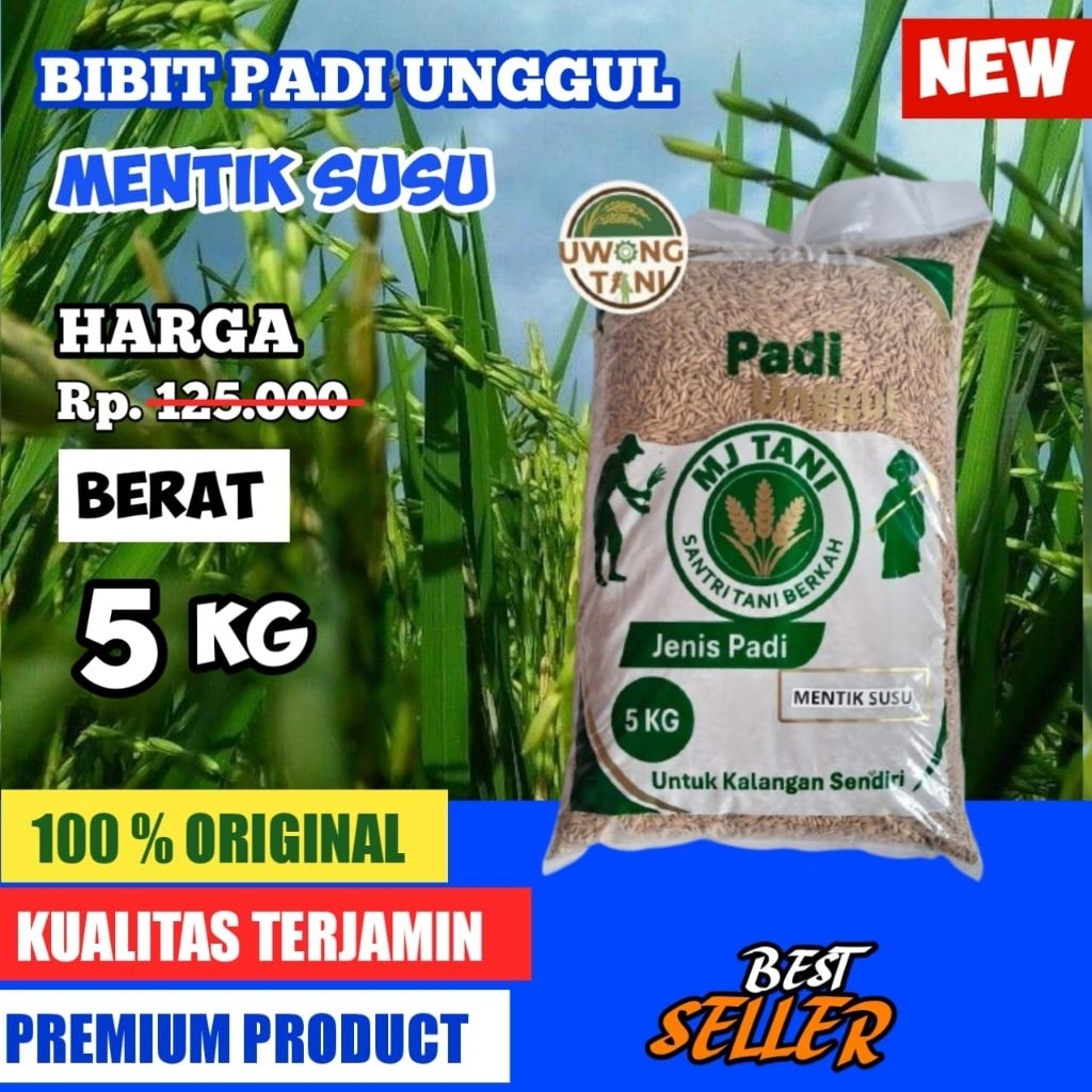 BENIH PADI BIBIT PADI MENTIK SUSU 5 KG