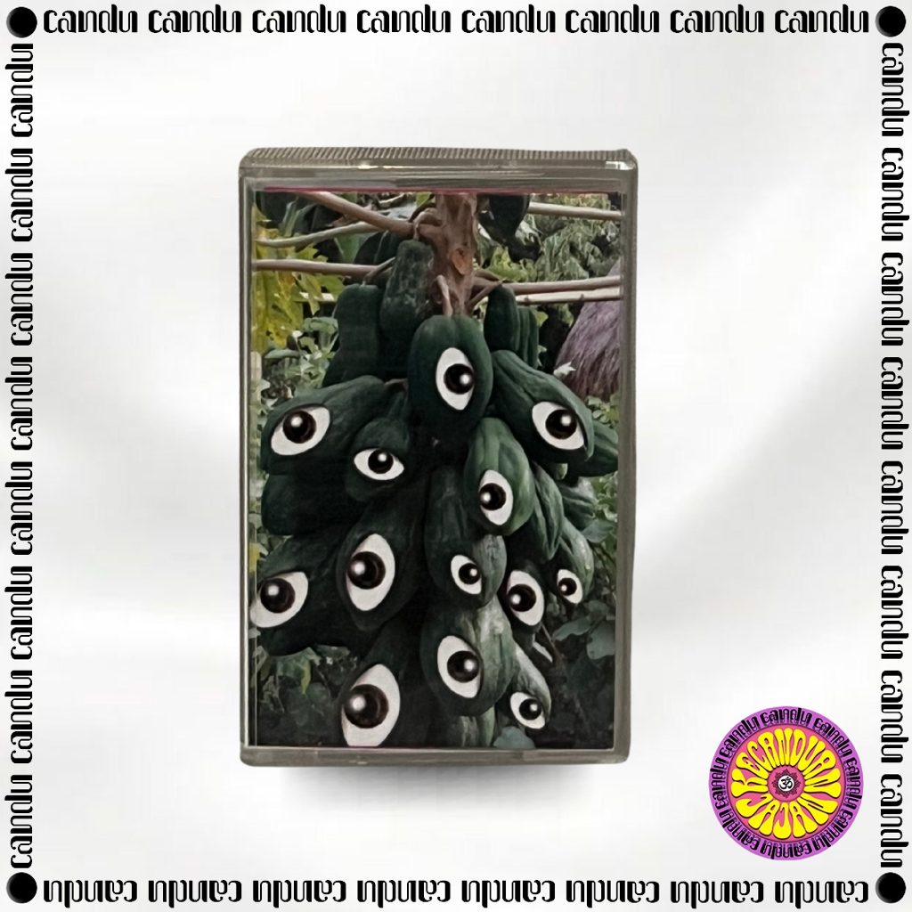 KASET PITA JASON RANTI, ALBUM AKIBAT PERGAULAN BLUES