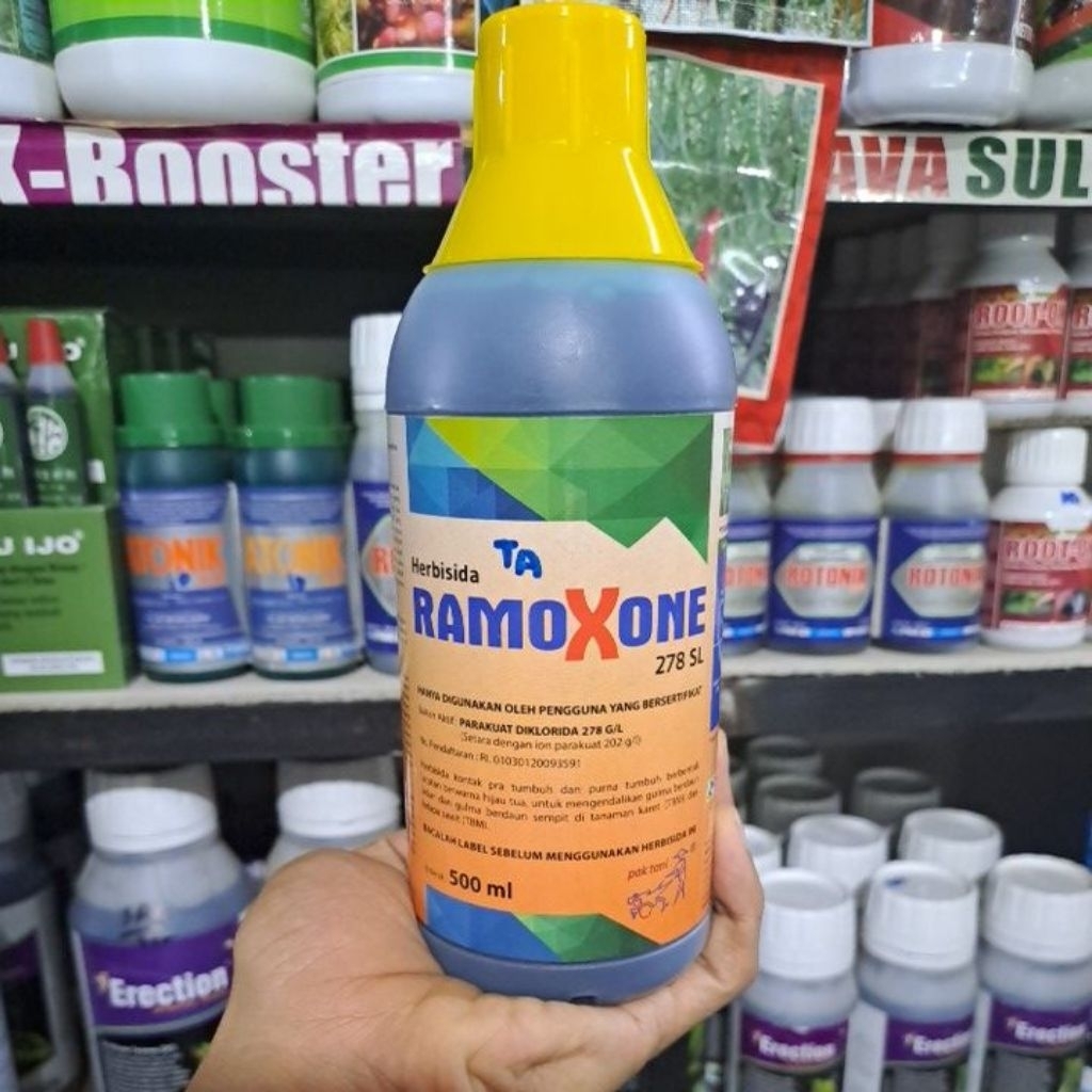 Herbisida Kontak Ramoxone 278 SL 500ml Herbisida kontak