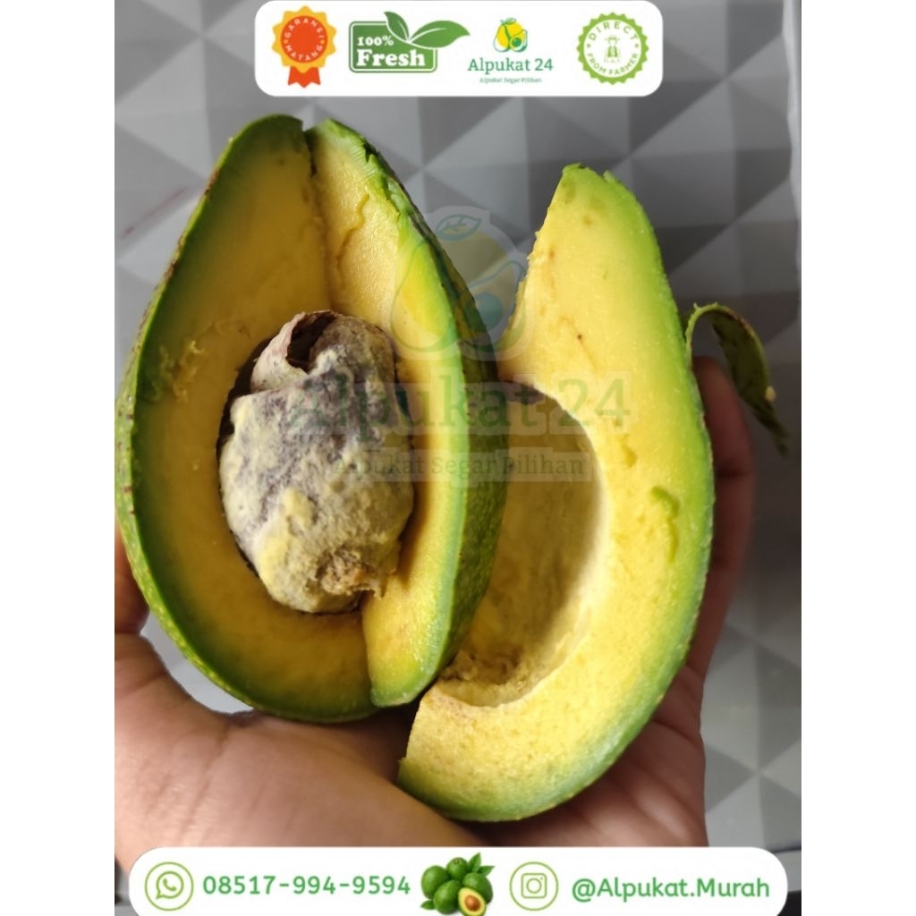 ALPUKAT MENTEGA ARJUNO / ALPUKAT ORGANIK / ALPUKAT SIDOARJO / ALPUKAT GARANSI MATANG