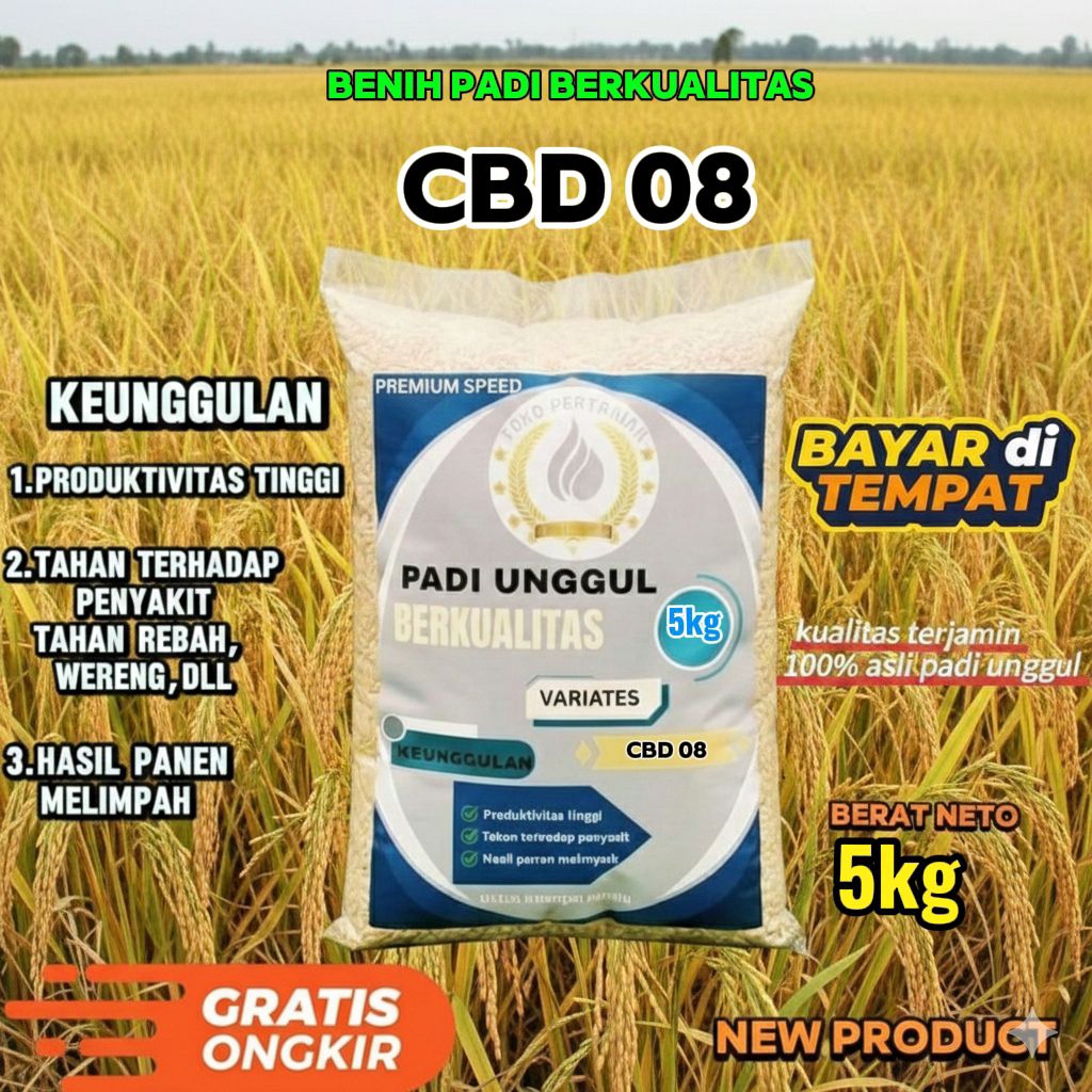 benih padi unggul CBD 08 Berkualitas kemasan 5kg