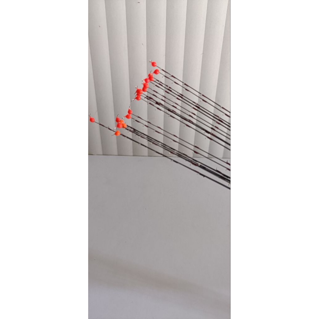 ENTUL PUCUANG GRAFIT 60CM