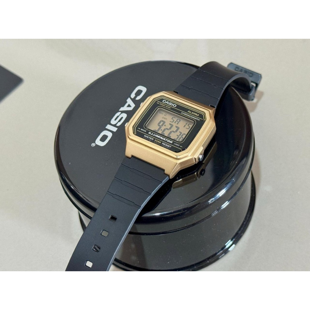 Casio w-217h